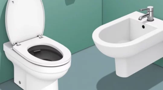 fuite-chasse-d-eau-assurance-habitation-prise-en-charge-possible